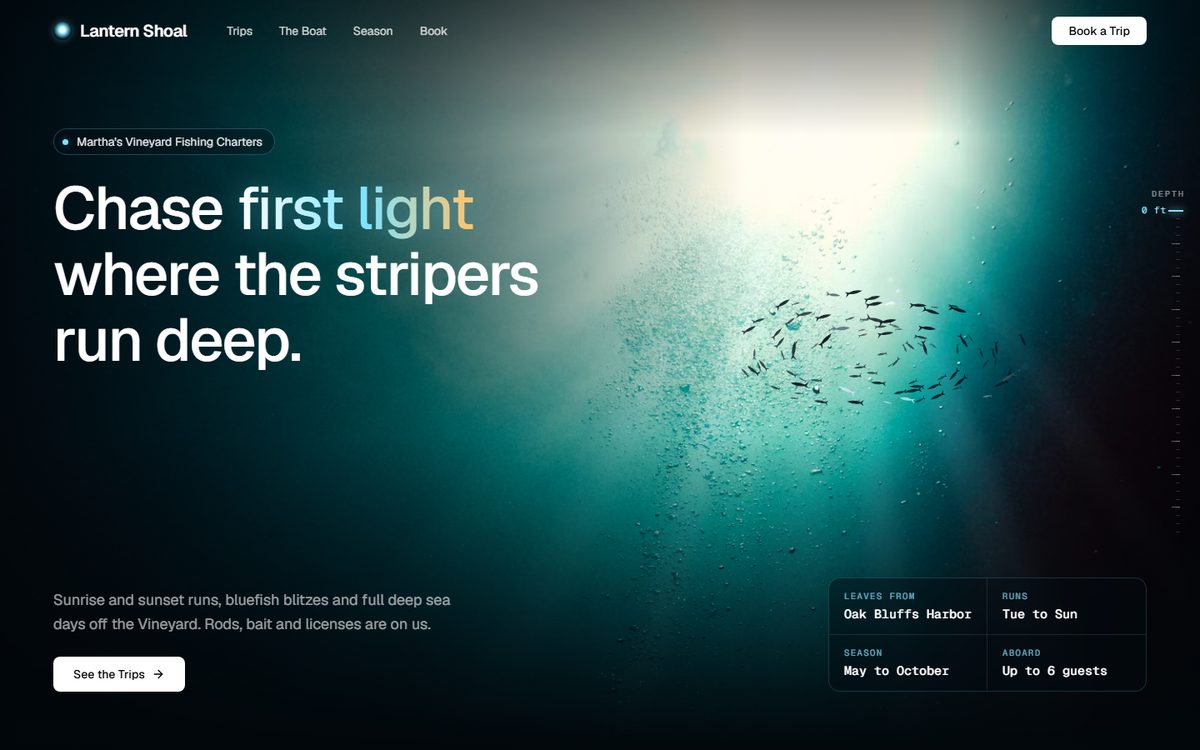A sample fishing charter website: sun rays through dark water and a school of fish.